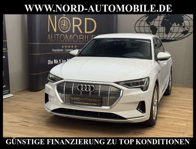 Audi e-tron 99.400 km 29.999 &euro; Rastede/ Wahnbek 26180