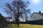 Grundstück Regen - 120.000&euro; | Angebot:26345543