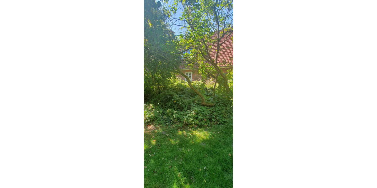 Bauernhaus, Landhaus Quelkhorn Quelkhorn - 1 Zimmer, 212 m&sup2;, 440.000&euro; | Angebot:26218204