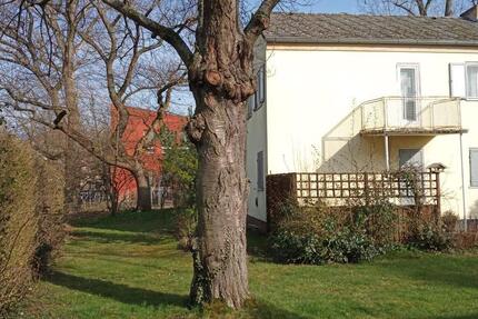 Haus Frankfurt am Main West - 4 Zimmer, 65 m&sup2;, 445.000&euro; | Angebot:26020506