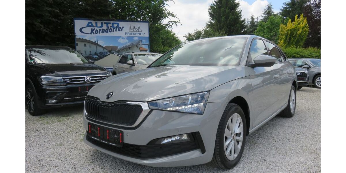 Skoda Scala 80.400 km 14.950 &euro; Prießnitz 04654