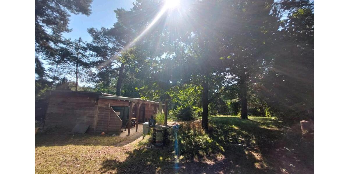 Bungalow Muldestausee - 80.000&euro; | Angebot:25047586