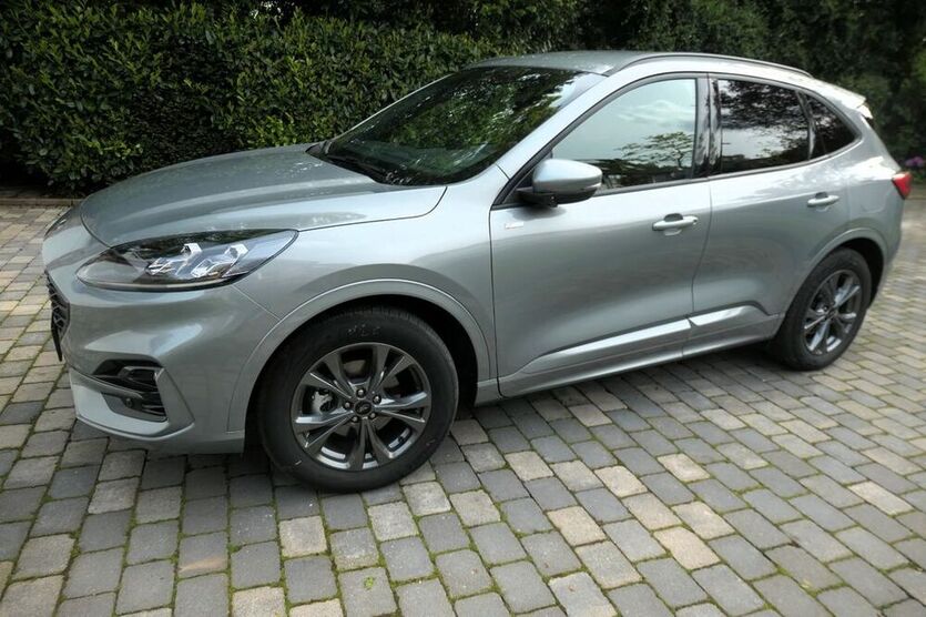 Kuga