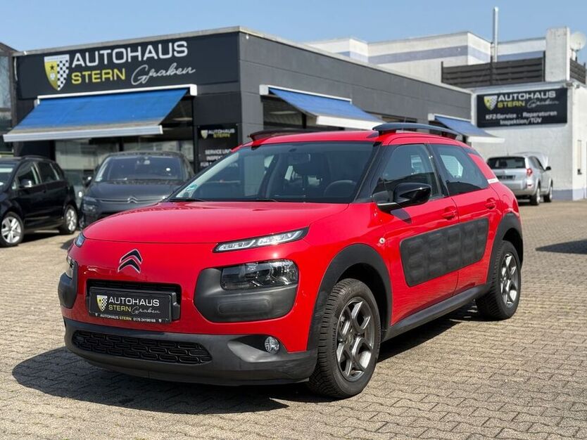 C4 Cactus