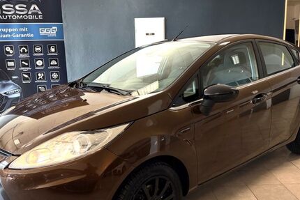 Ford Fiesta 149.000 km 4.999 &euro; Stendal 39576
