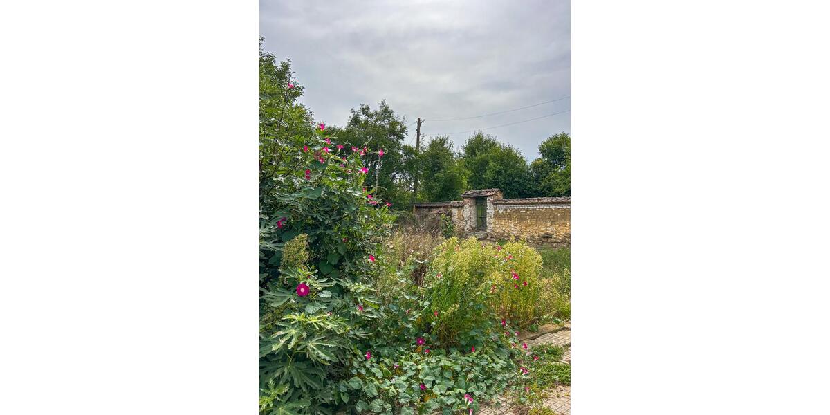 Etagenwohnung Karlsruhe Innenstadt-Ost - 5 Zimmer, 103 m&sup2;, 48.800&euro; | Angebot:24374681