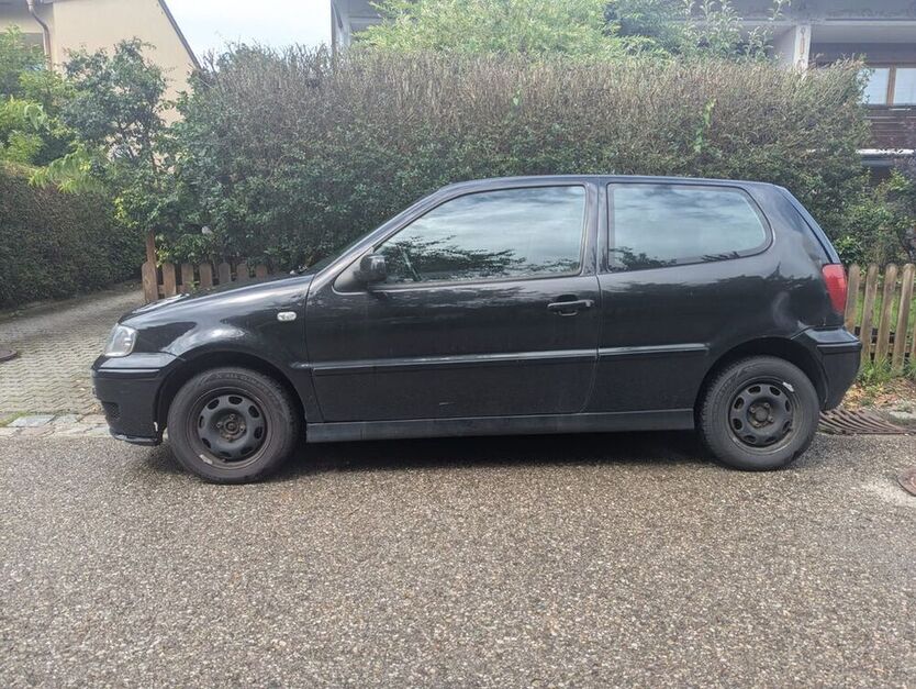 Polo