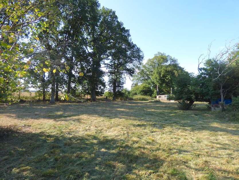 Grundstück zu verkaufen in Lütow 317.250 € 1269 m²