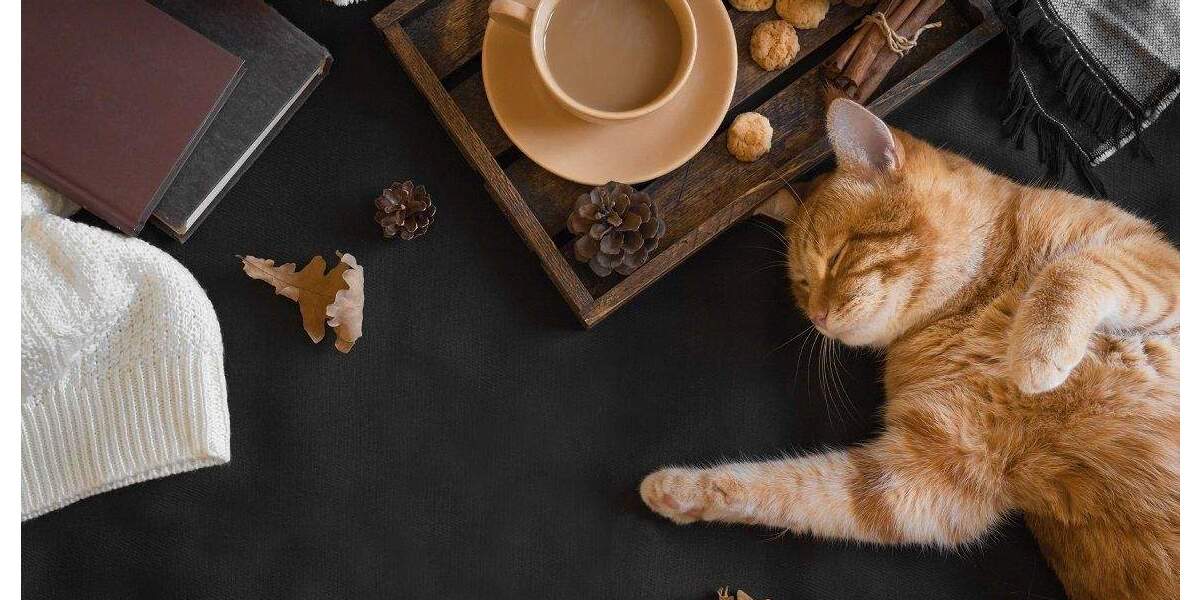 Mehrfamilienhaus, Wohnhaus Delbrück - 8 Zimmer, 220 m&sup2;, 605.000&euro; | Angebot:25317883