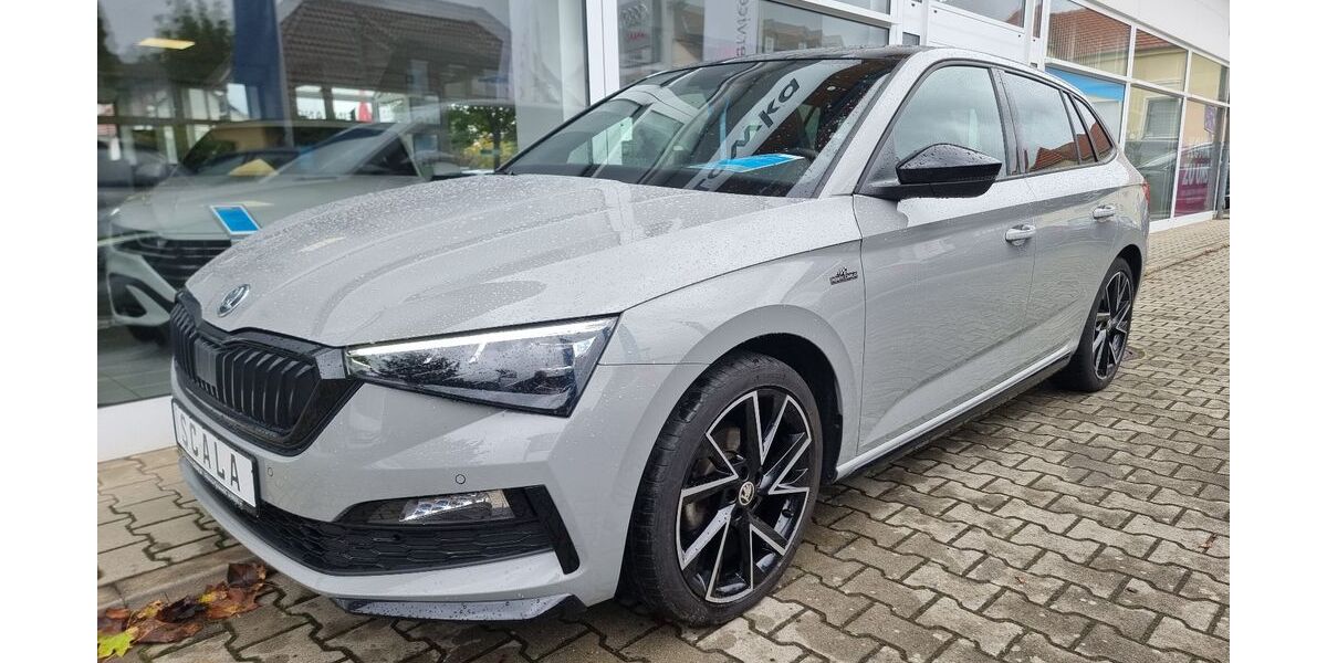 Skoda Scala 93.200 km 18.970 &euro; Lübbenau/Spreewald 03222