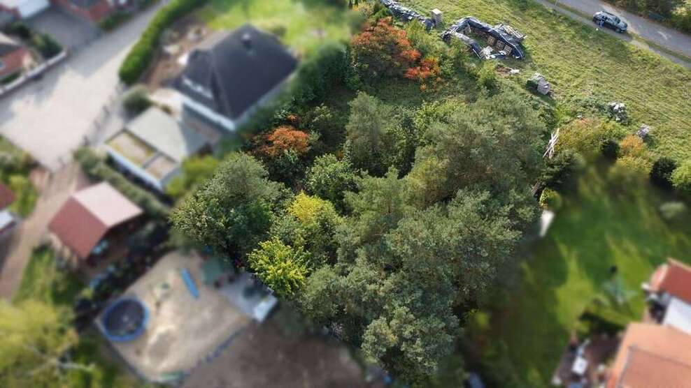 Grundstück zu verkaufen in Bergen (Dumme) 45.500 € 1095 m²