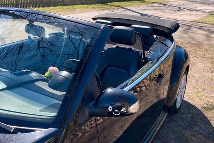 VW New Beetle 187.300 km 2.950 &euro; Hassendorf 27367