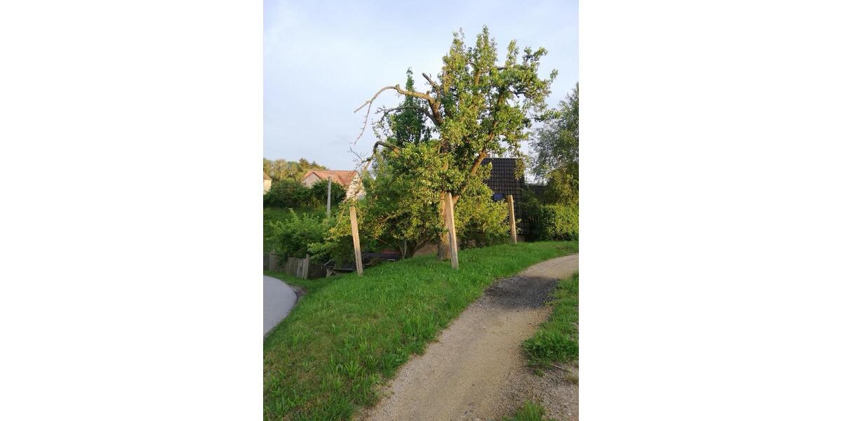 Einfamilienhaus Reichenbach/Oberlausitz Oberlausitz - 4 Zimmer, 80 m&sup2;, 25.999&euro; | Angebot:26272039