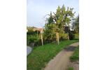 Einfamilienhaus Reichenbach/Oberlausitz Oberlausitz - 4 Zimmer, 80 m&sup2;, 25.999&euro; | Angebot:26272039
