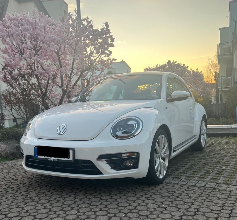 Beetle