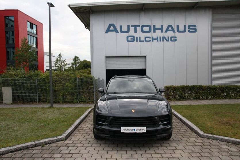 Macan