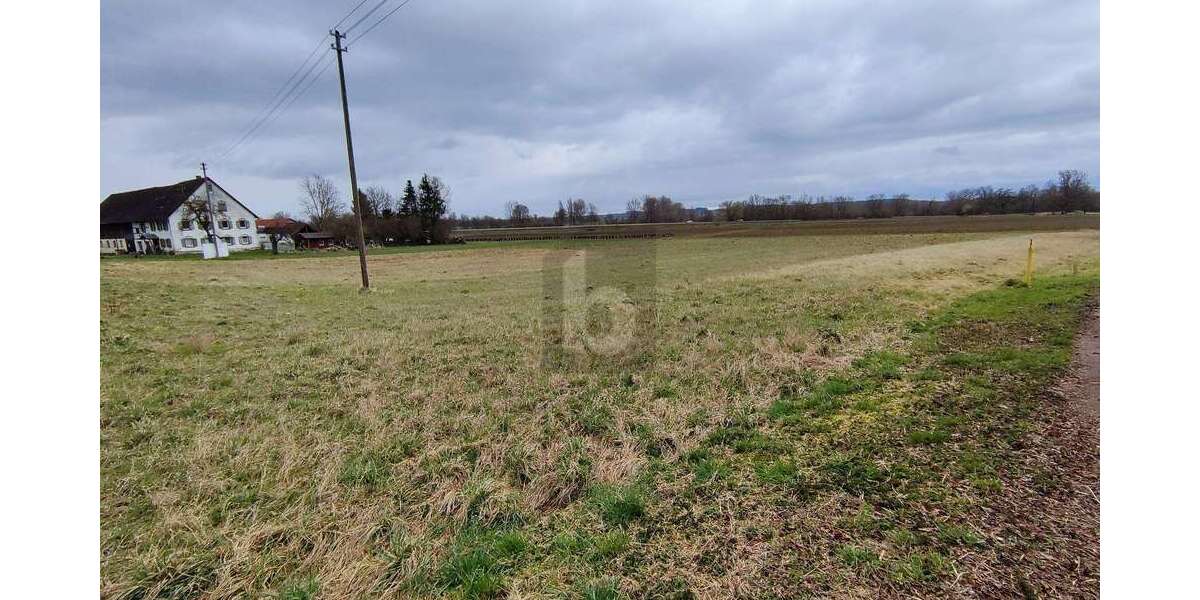 Grundstück Ehingen an der Donau - 128.000&euro; | Angebot:26398430