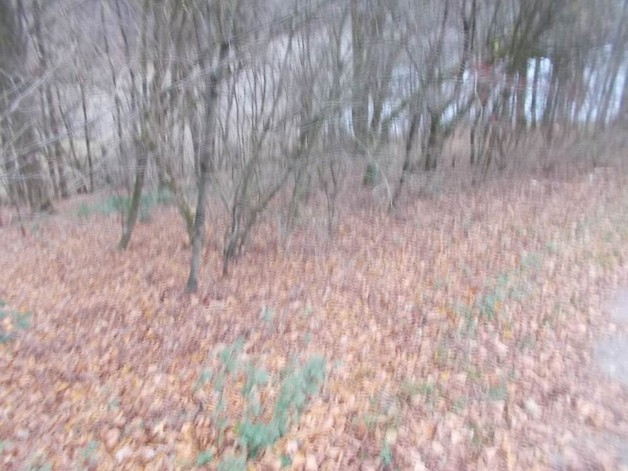 Baugrundstück in Werdohl sehr interessant für Investoren zimmer