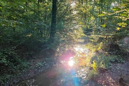 WG Zimmer in ruhiger Lage 1 zimmer