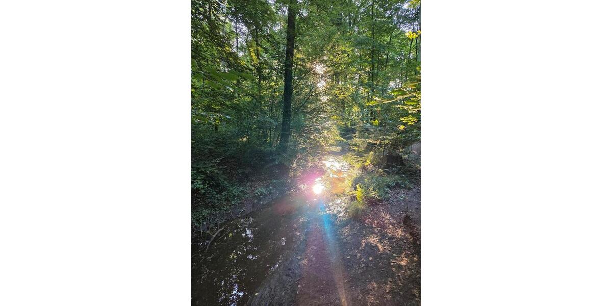 WG Zimmer in ruhiger Lage 1 zimmer