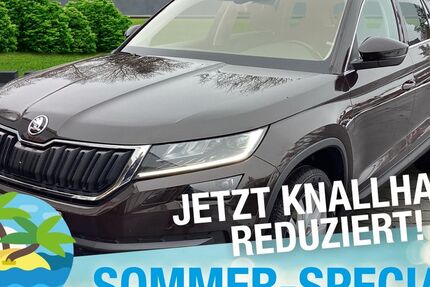 Skoda Kodiaq 137.138 km 19.870 &euro; Marktredwitz 95615