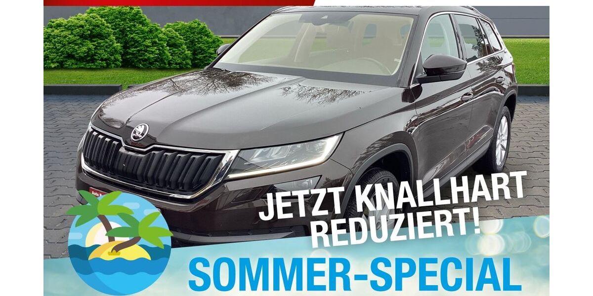Skoda Kodiaq 137.138 km 19.870 &euro; Marktredwitz 95615