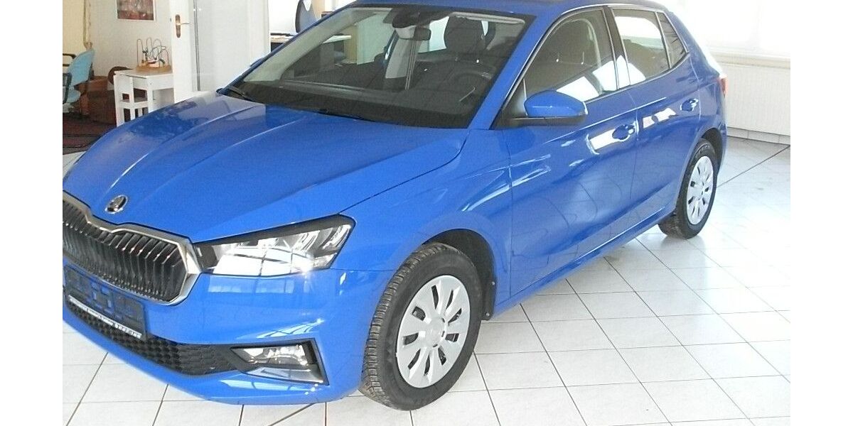 Skoda Fabia 4.500 km 18.500 &euro; Waldheim 04736