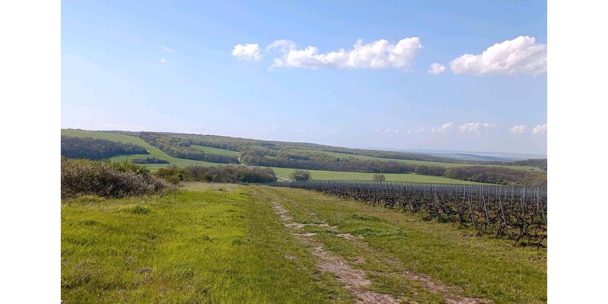 Einfamilienhaus Donauwörth - 78.000&euro; | Angebot:26314574