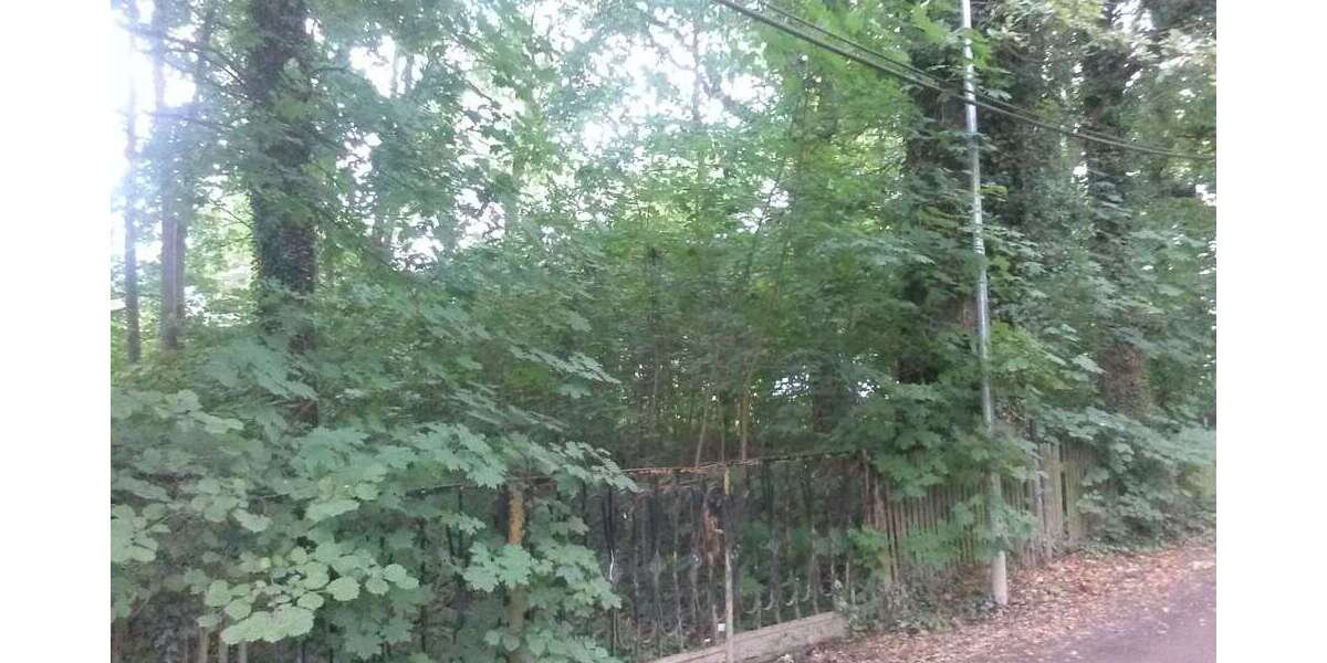 Grundstück zu verkaufen in Brandis 329.000 € 1162 m² zimmer