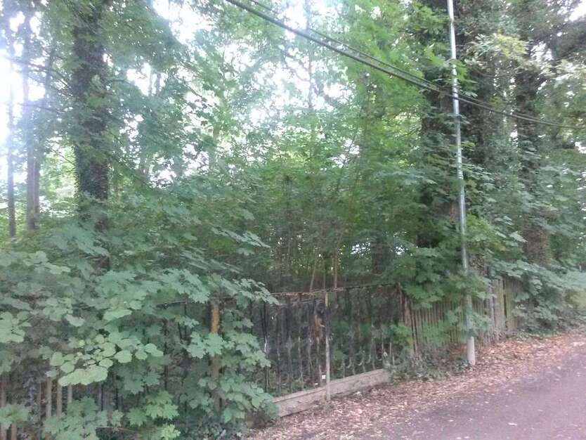 Grundstück zu verkaufen in Brandis 329.000 € 1162 m² zimmer