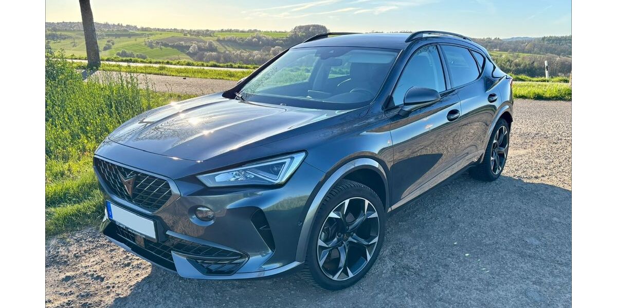 Cupra Formentor 29.760 km 25.390 &euro; Blieskastel 66440