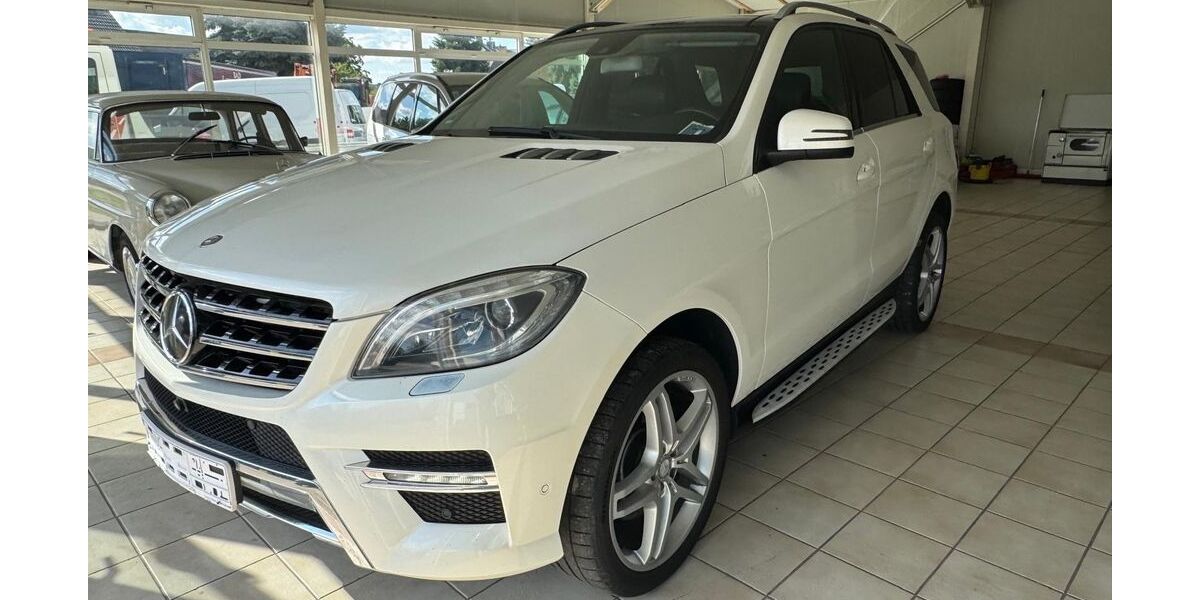 Mercedes-Benz ML 350 268.000 km 16.500 &euro; Heideblick 15926