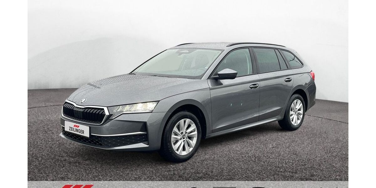 Skoda Octavia 1.080 km 31.199 &euro; Dietersheim 91463