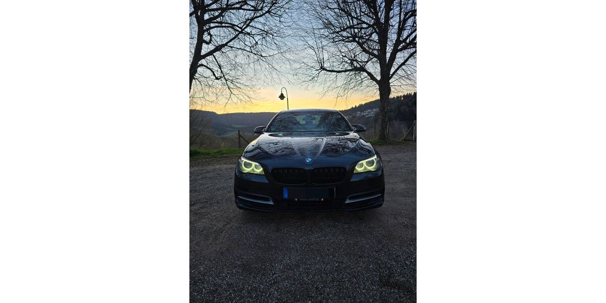 BMW 525 257.729 km 9.300 &euro; Bad Peterstal 77740