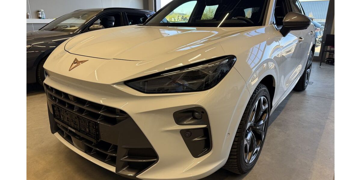 Cupra Terramar 15.517 km 33.500 &euro; Memmingen 87700