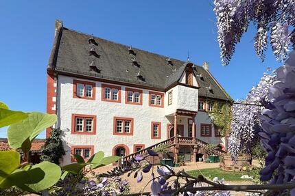 Gewerbeobjekt Klingenberg am Main - 676&euro; | Angebot:21930411