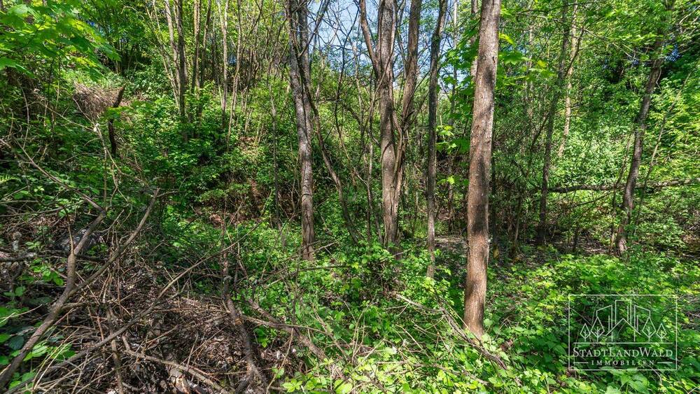 Grundstück Lemberg - 68.728&euro; | Angebot:24112793