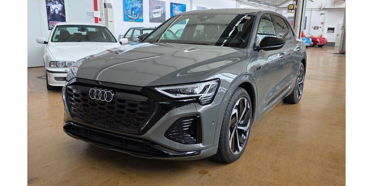 Audi Q8 54.000 km 41.900 &euro; Bisingen 72406