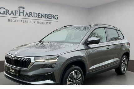 Skoda Karoq 12.000 km 36.666 &euro; Lahr 77933