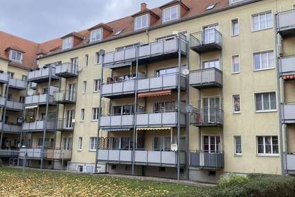 Wohnung zum Mieten in Dresden 555 € 64 m²
