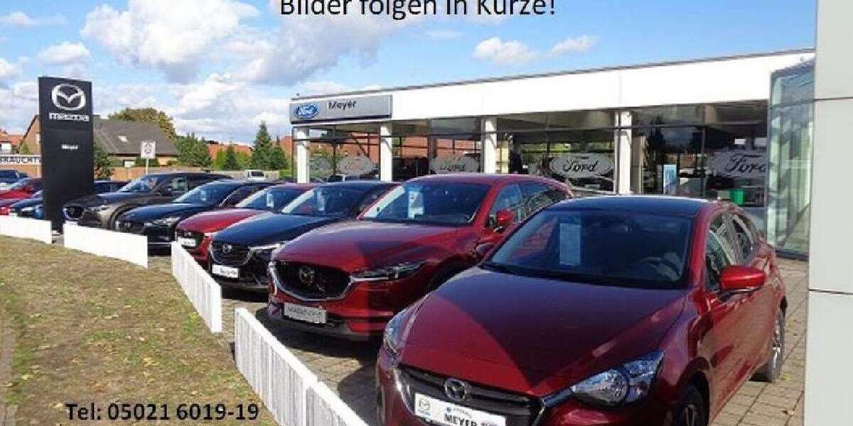 Renault Kadjar 118.500 km 14.750 &euro; Nienburg 31582