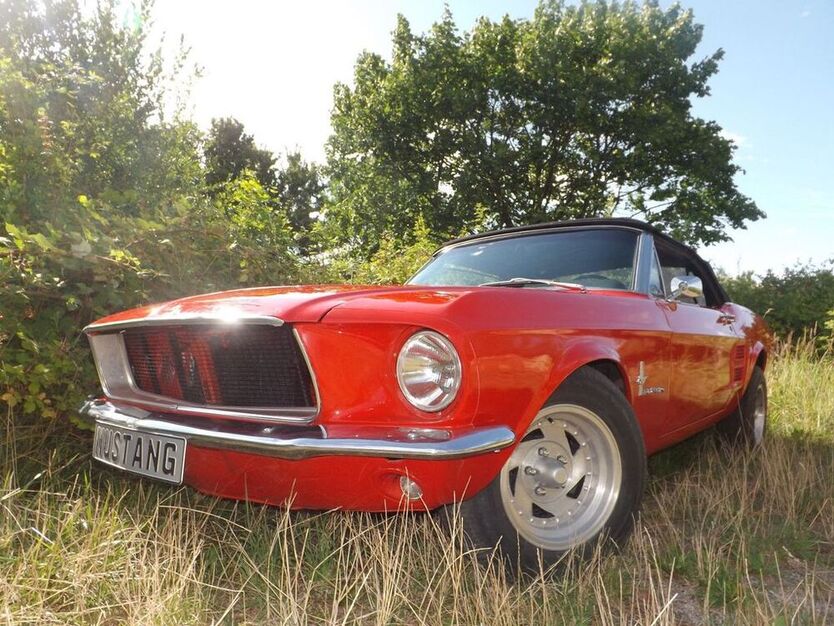 Mustang