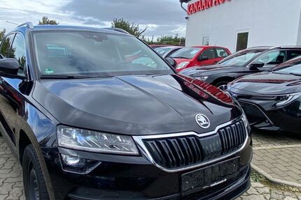 Skoda Karoq 194.000 km 13.950 &euro; Goslar 38644