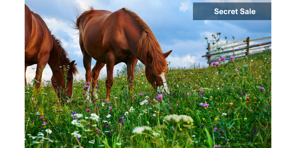 Grundstück in Überlingen 3.800.000 € 65000 m² zimmer