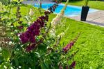 Bungalow Friesack - 4 Zimmer, 110 m&sup2;, 659.000&euro; | Angebot:26255603