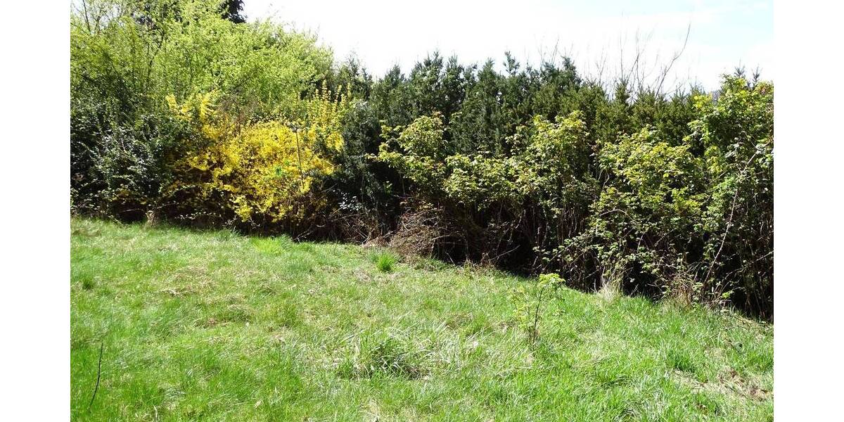 Grundstück Lörrach - 1.600.000&euro; | Angebot:25679675
