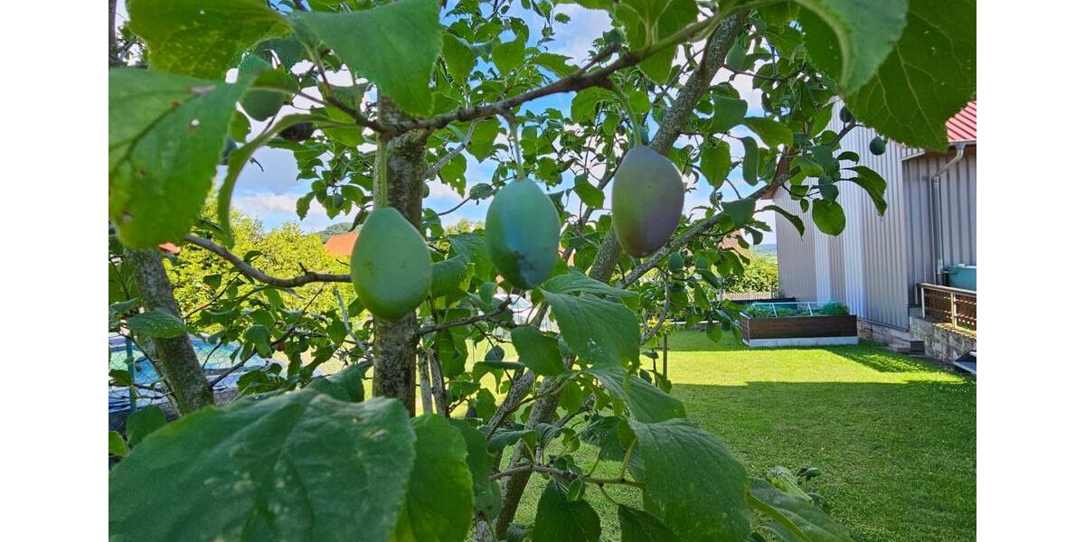 Gewerbeobjekt Oberleichtersbach - 1.800&euro; | Angebot:26700955