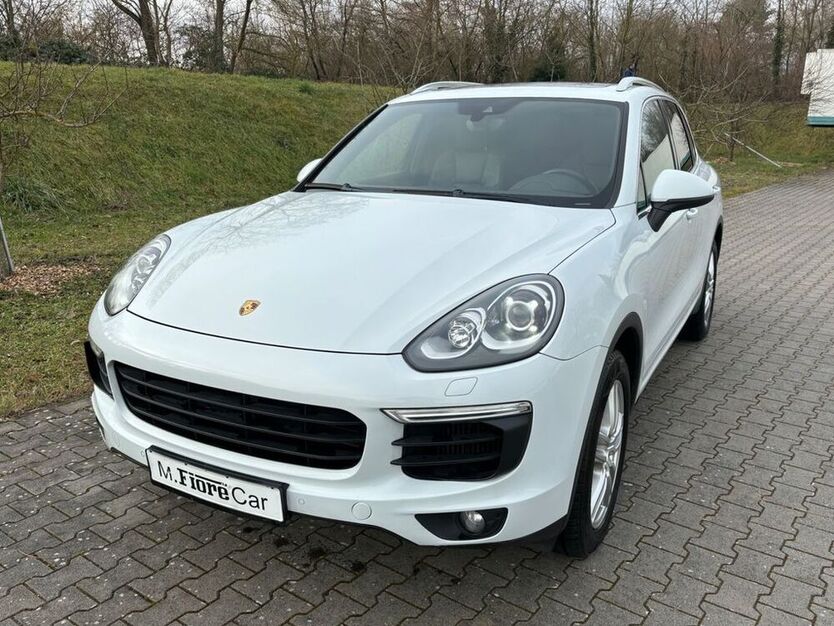 Cayenne