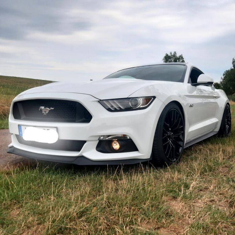 Mustang