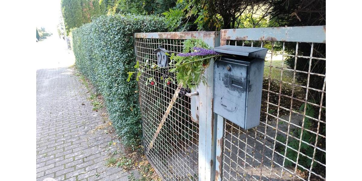 Bungalow Belgern-Schildau Schildau - 1 Zimmer, 40 m&sup2;, 86.000&euro; | Angebot:26480108